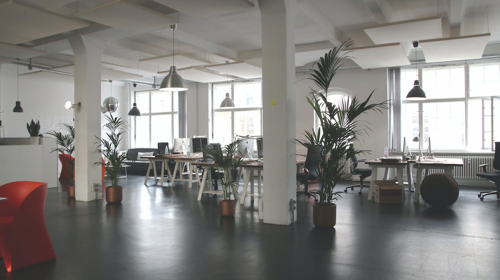 Espace de travail avec des bureaux flexibles, des chaises de bureau et des plantes.
