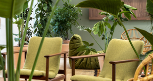 Aménagement d'un espace détente avec des fauteuils et des poufs confortables. De nombreuses plantes décorent cet espace pour donner l'impression d'être au milieu d'une forêt.